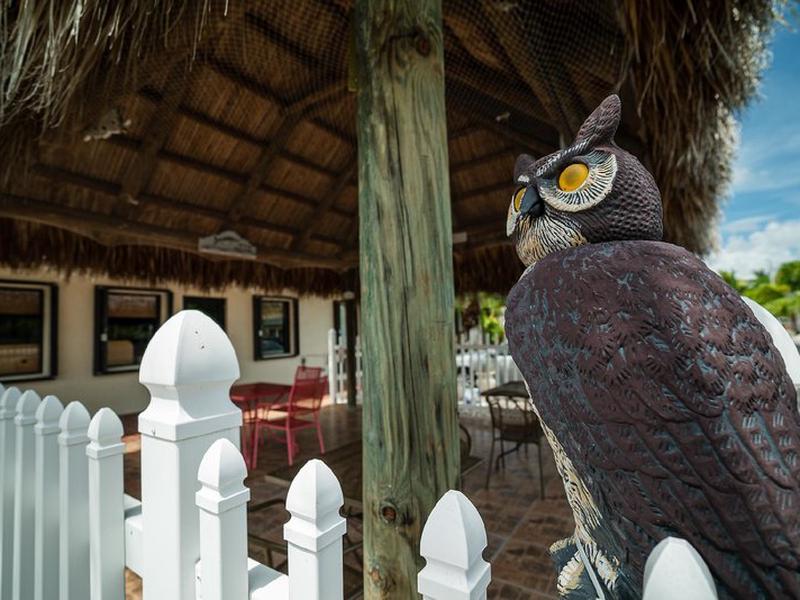 4A47BC3A93225CF2DC174268986EA940