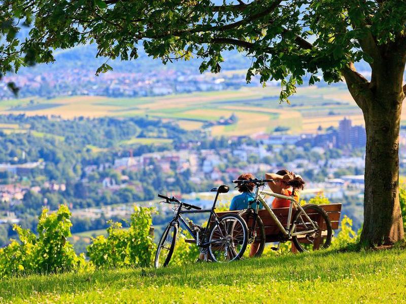 B80EBDFBE75A068070EC09FEAA77B84B