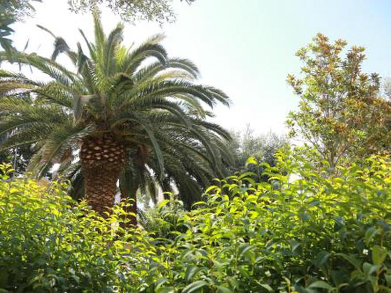 BA30133C83B25FE0A748830AA0CC935D