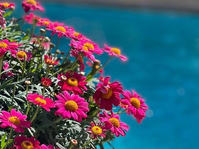 ABE619D229D72D0F68F09332E7B803C6