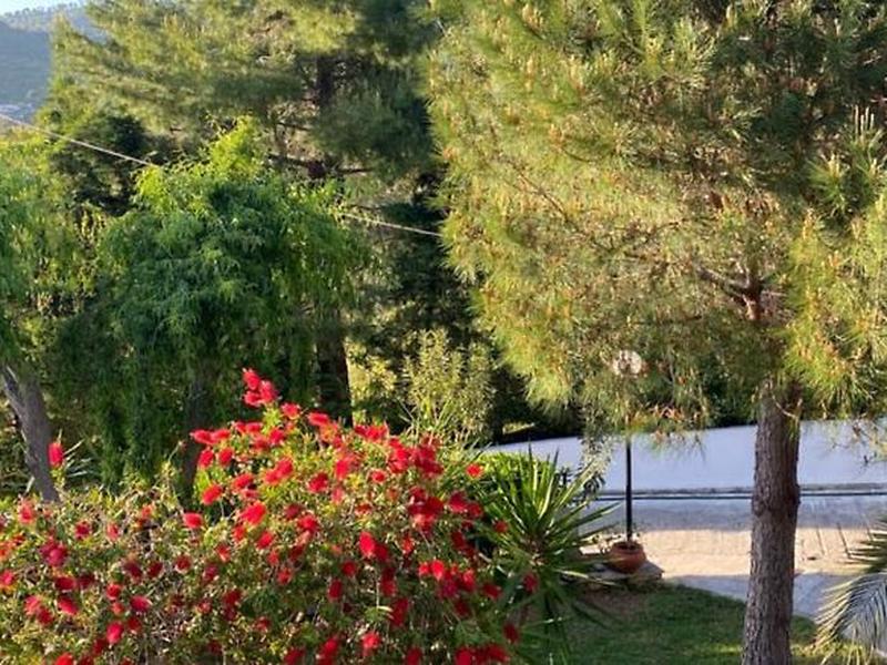 0A36EAF2C9CD1951DA2D5E2B325A42B6