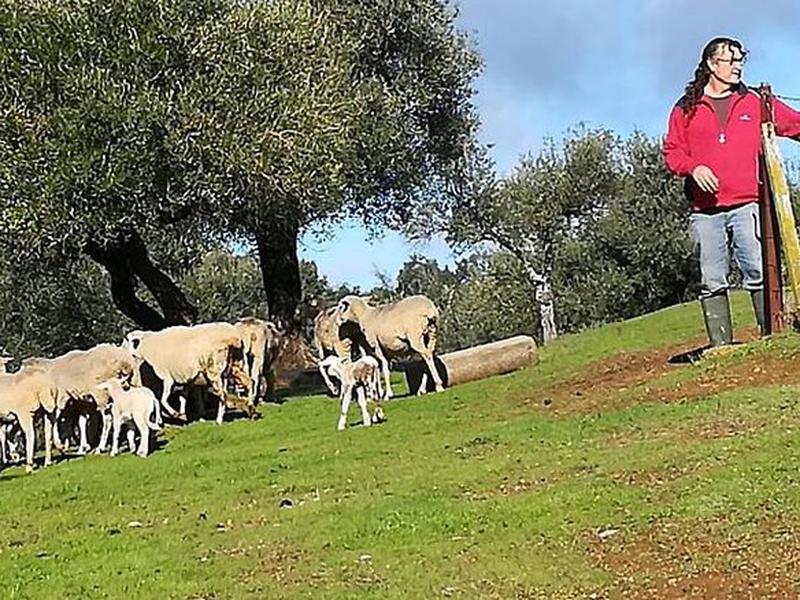 0A4A46C2096BC41DD1DFE689CB9D686F