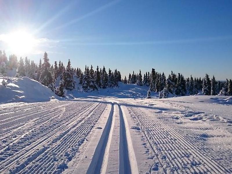 817067BADBA3FBAA33FE8F6B112C77AA