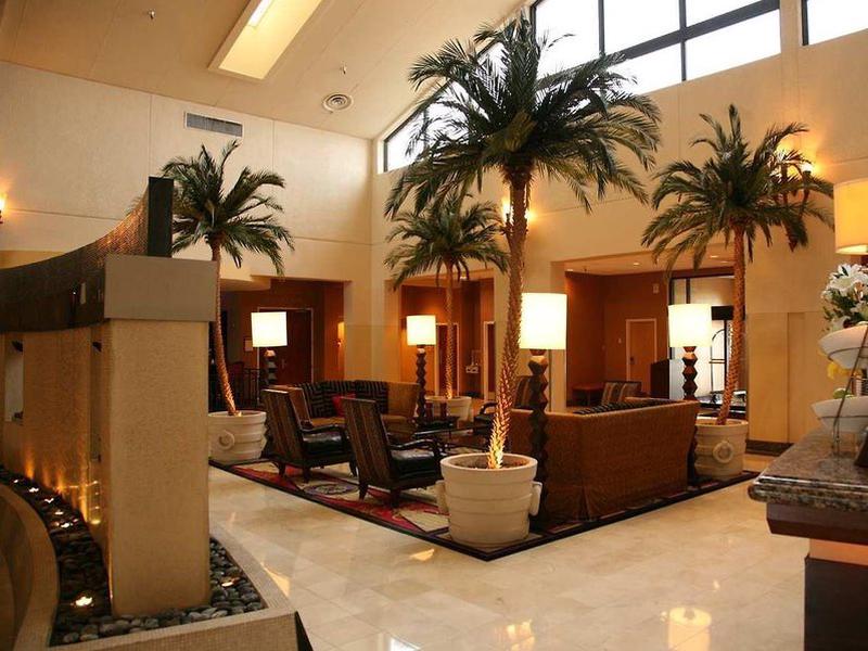 1AE0B72E12FD1D9D2E6DA3E7157D1FF6