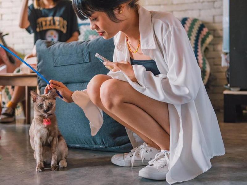 6C3C71144EBB2605E97D7A84D2AD208E