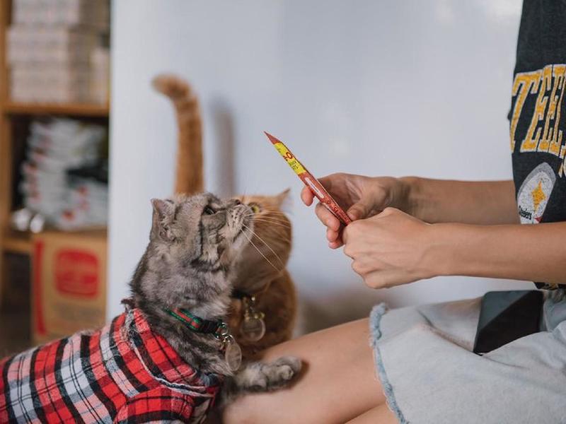 9F4644BF41AA97BFFAD5552A2222B08C