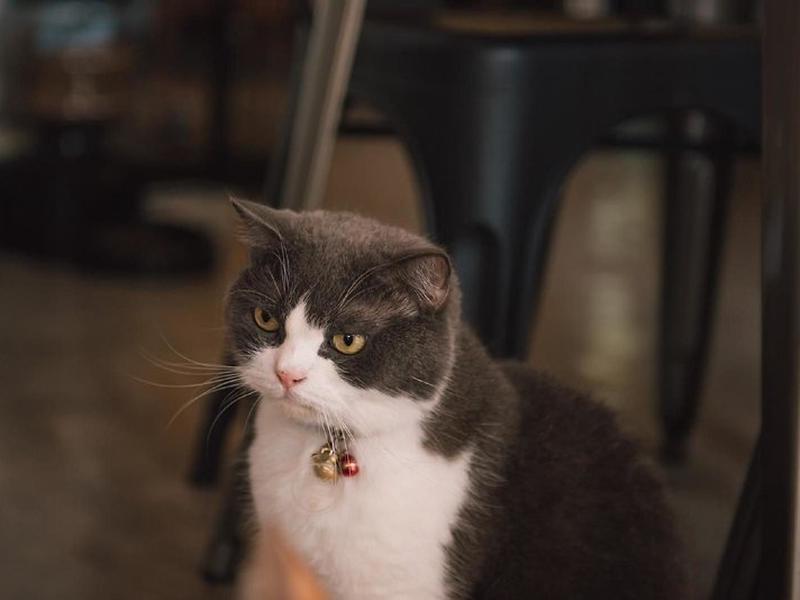 1E15BCC5C8A76BC6F75D7B3838E9F8A3