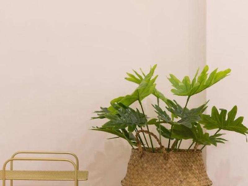 338DF9436D6204B1602138BA2FEE3C35