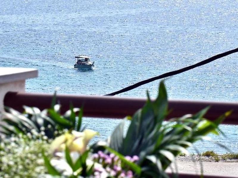 61A6663576F3E189CC33C438D9956B31