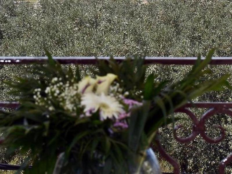 C9DB01FE8032A18A62C4D2D47BE645DB