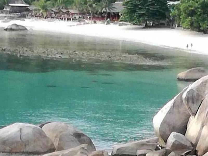 CA4B54546E70CC29BE5F188B84380172