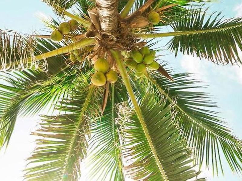 22BA974C4635BBA56DC626367048329C