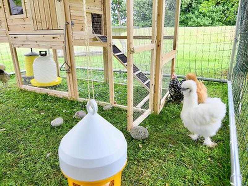 E2E41D845ADB98256F68FF539240E12D