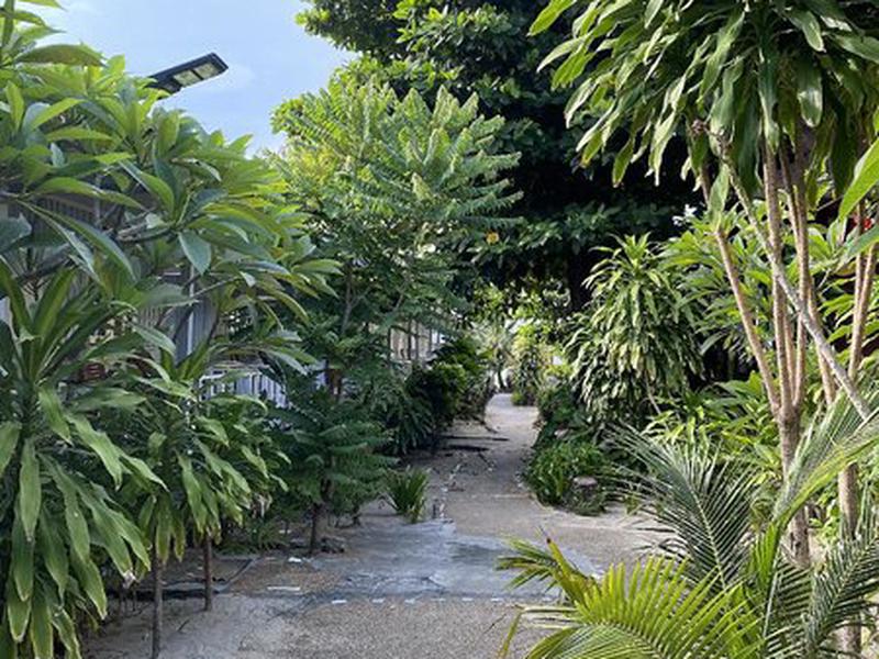 1DE520AB35366B312F1B7F3EEC8E638D