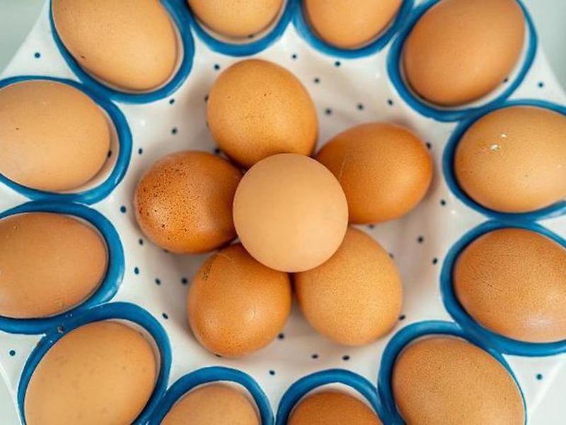 9E75048E125828E5AF69AB442532643B