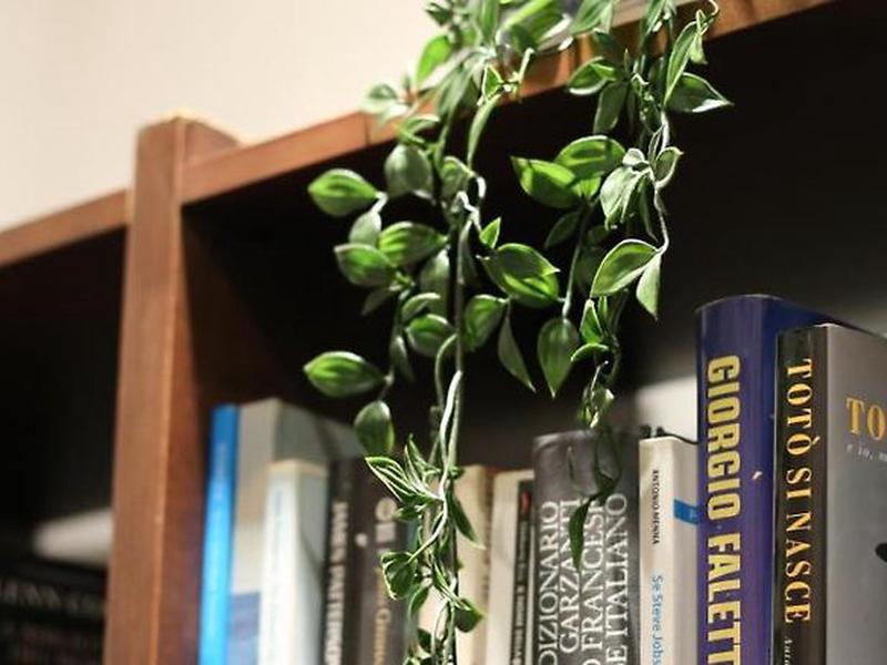 AAE5708599D281B9A90866DF14F1FC47