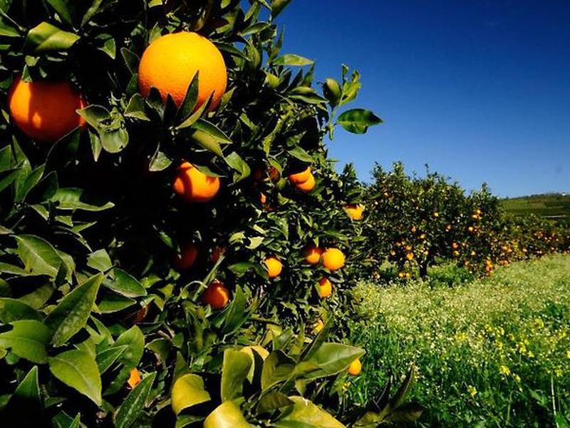 FD8C9EC9A03EFD15F3C246D976DFBCDF