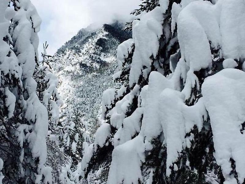 7D1ADBA512303F8CB8B61B3DF5156716