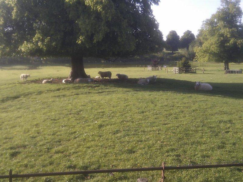 1038CC4D357CB5138E6F19610327CDAE