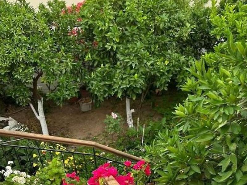 BE4247D9B748559926ACBD38D7AD564C