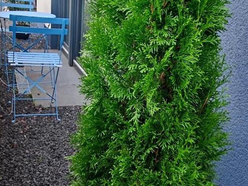 AF5338B8A9DC7790E28FD1D2C63E16EA