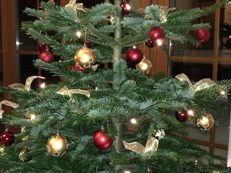 242EED8AE7C6D602CF6C8B7579806F1C