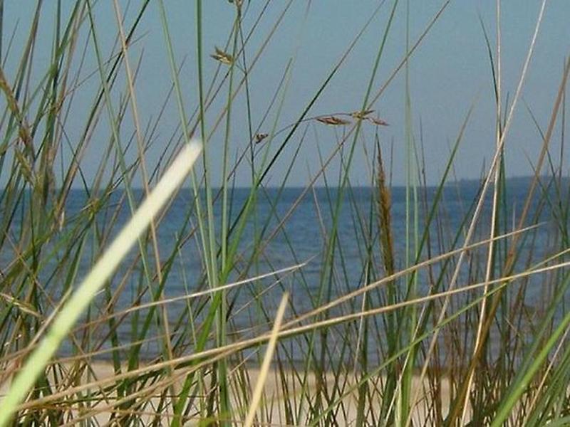 B0B6641453EBBC8977A27B2037634935