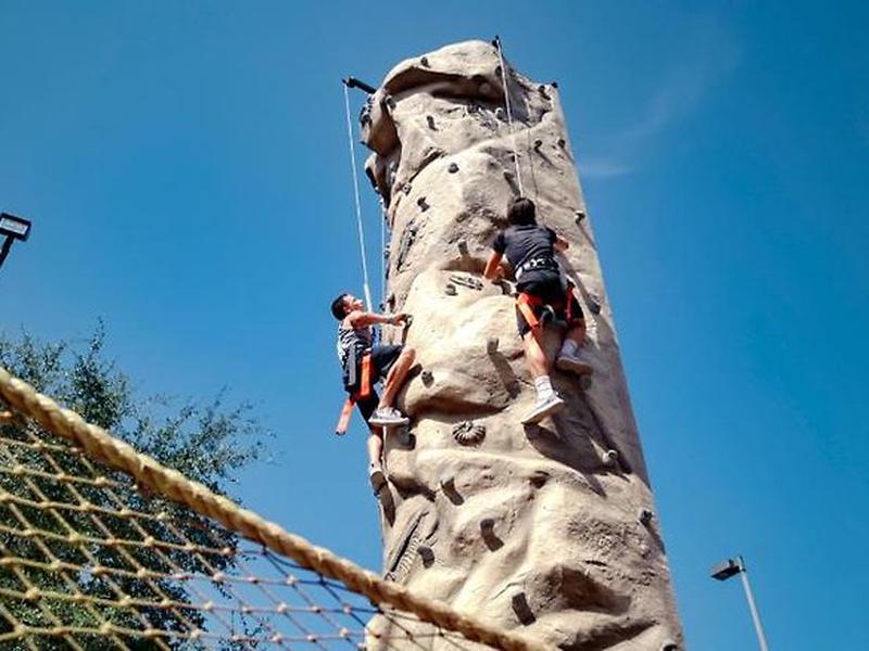 A768987103D826B61A5E3C03E73924EF