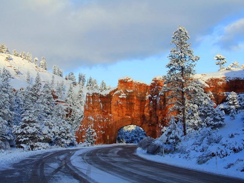 9503D5A27A680ADAA7FA79ECA009377F