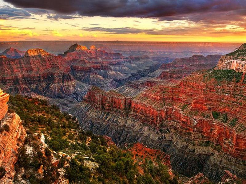 211399E61D404E59C211B20898953334