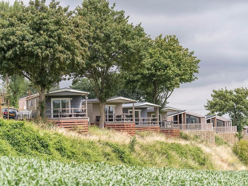 C26A70C4E197726AACFA8FA68EF95898