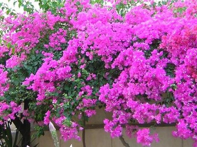 B4758C92E1E4A99DC9BBC17670F4F7DF