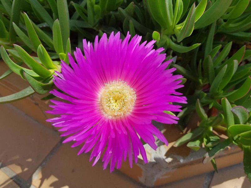 2C275E62A3AAAA43B1FE88DBAFC13359