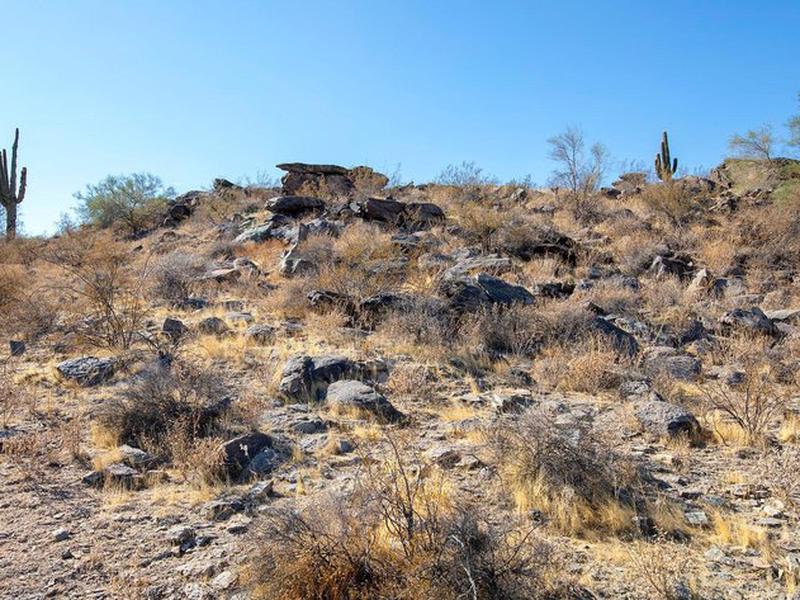 0501E644315EACC89666327391ADCCFA