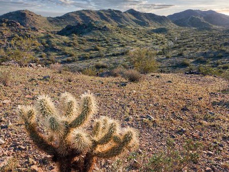 D61AD2AA554EA338CFDD32C3E2872043