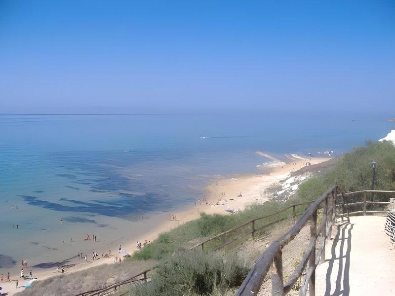 E15C99DBA21F450DA033E29043C789F9