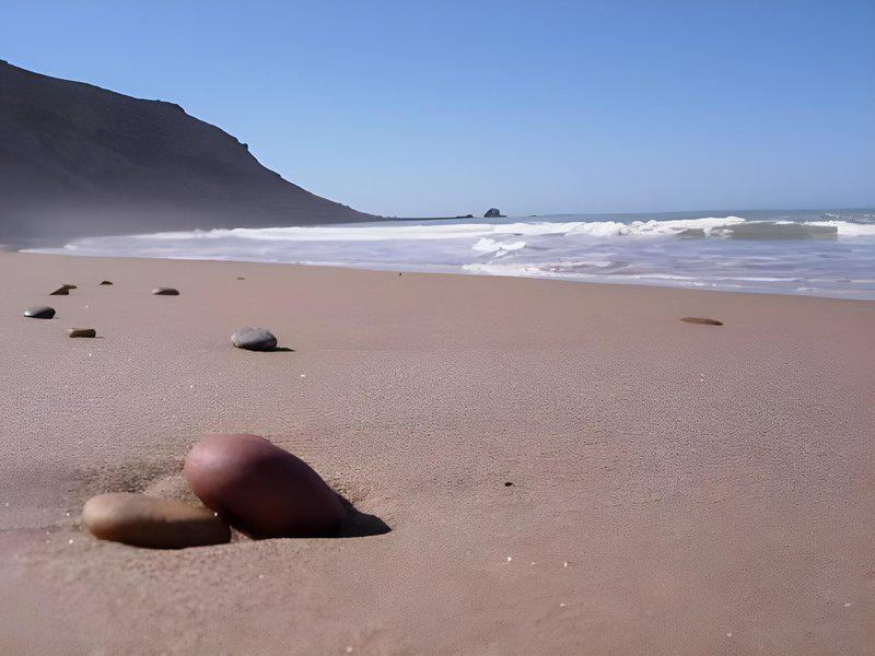 52BD44E33C5993D4C4B7CD2D7C64BF18