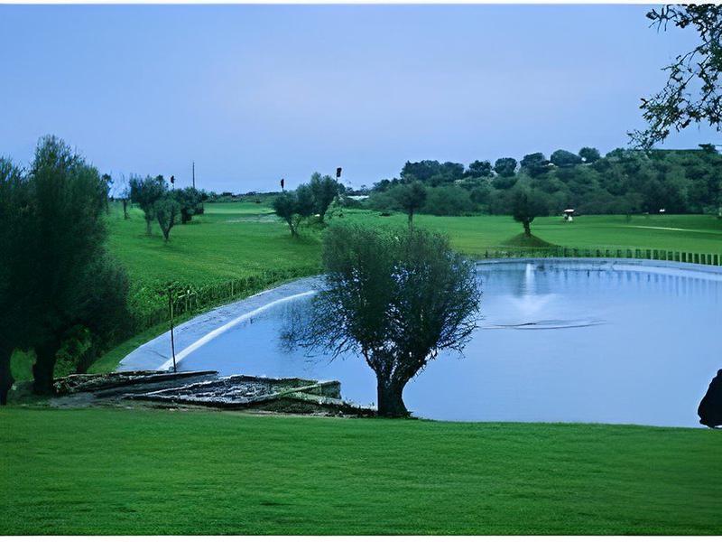 073DD4C4D901F09EA9584A31FF492D5A