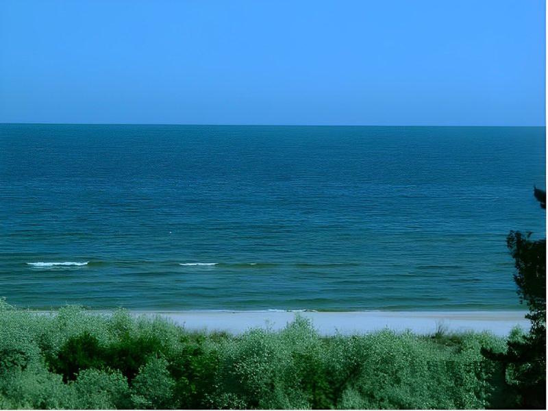 DBA9835C7139394D20F79E694C6106B6