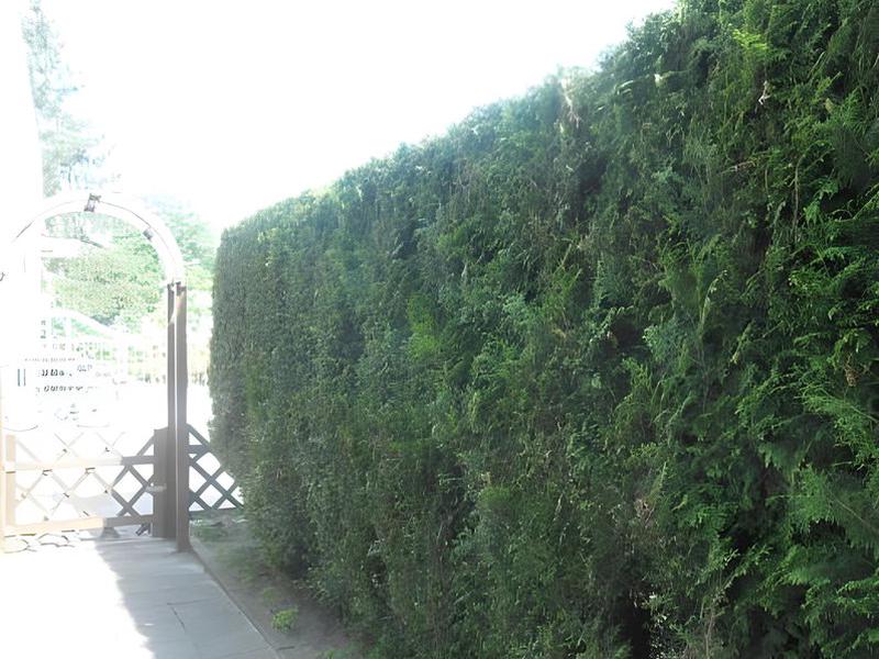 61325DA3D3511BBA657BB20DA4DA6147