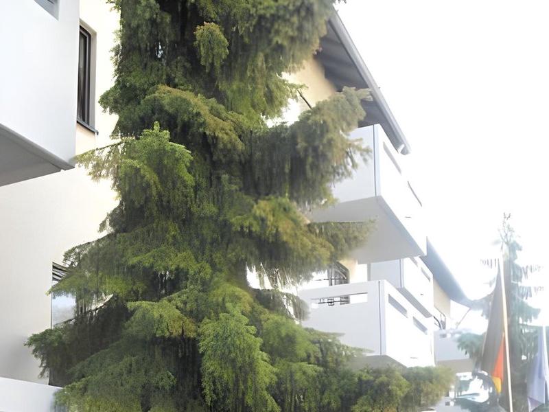 4D5CBF1D22FB7B2C7852DCA85D2892A5