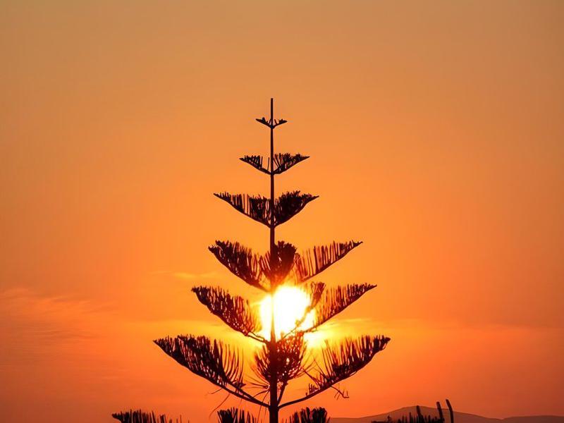 7227C13F27B4B10C606466D47239694D