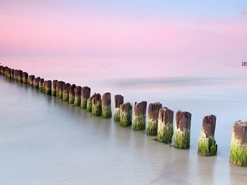 67ED2ECB16E0D4AFA318C0FE3C2BB303