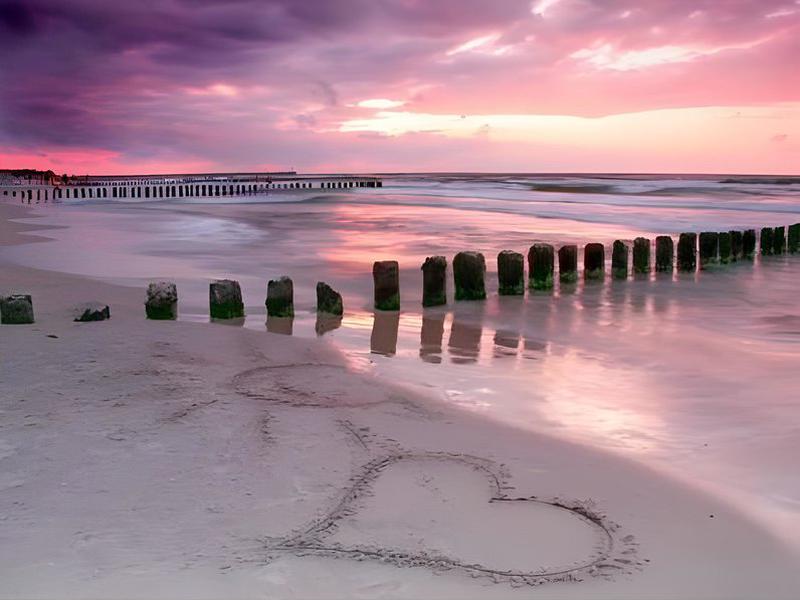 4BF46B44775A718F7359A16EC2DCC6A2