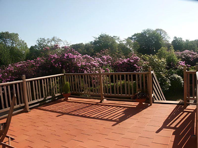 1363A0E0198B117BA99E2593CDD4EEBD