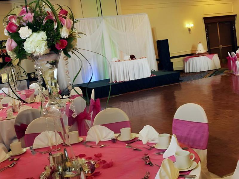 442A35352510D56C53B42C73A0AF4373