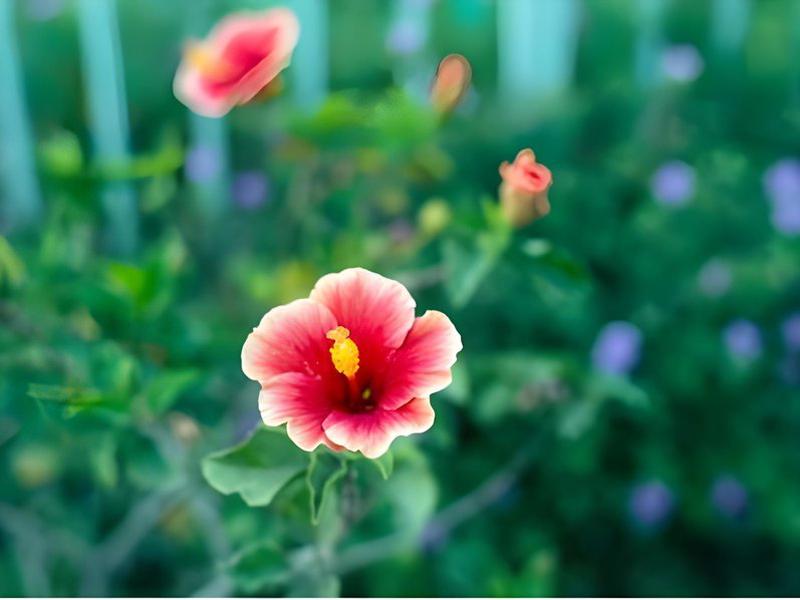 4EDDA7CBF81F5EF8C0129C207036B291