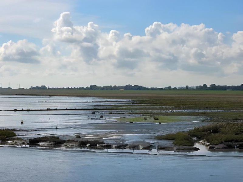 1EE3F7D54DE006502543BD02E7A37443