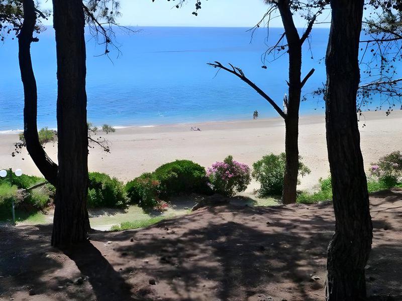 B1D9FD2359D63412D90D137ABD0A419D