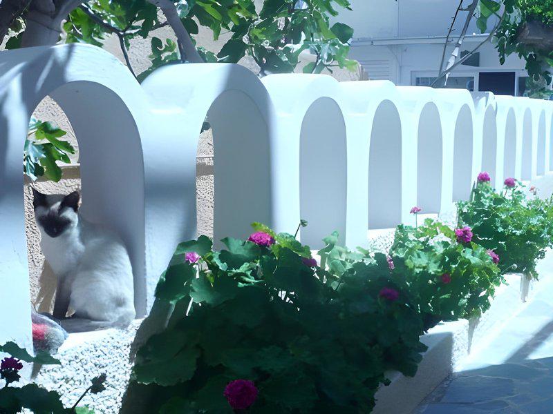 65FCEF07B08B037283D168EC2B390AB2